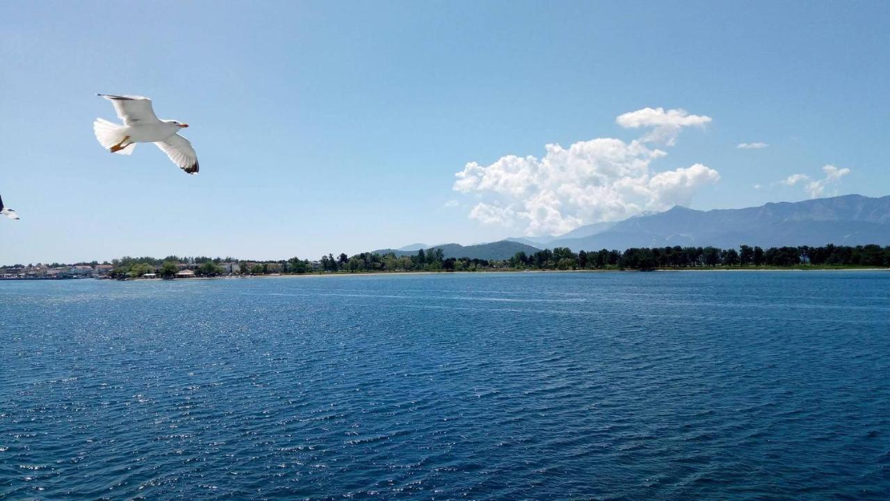 Luxury Villa Siniori Keramotí Buitenkant foto